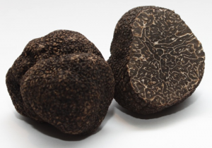 truffes noires