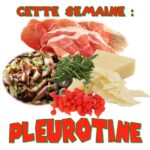 PLEUROTINE